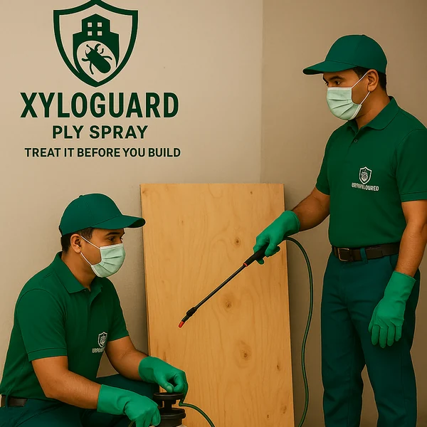 Plywood Spray Pest Treatment in Mumbai Residential & Commercial |  Urban Guard